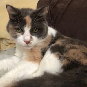 Meet your Posher, Loretta